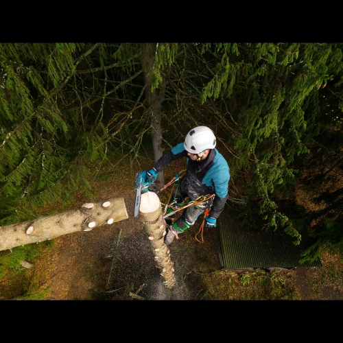 Аккумуляторная цепная пила Makita LXT DUC356Z фото 6 Аккумуляторная цепная пила Makita LXT DUC356Z фото 6