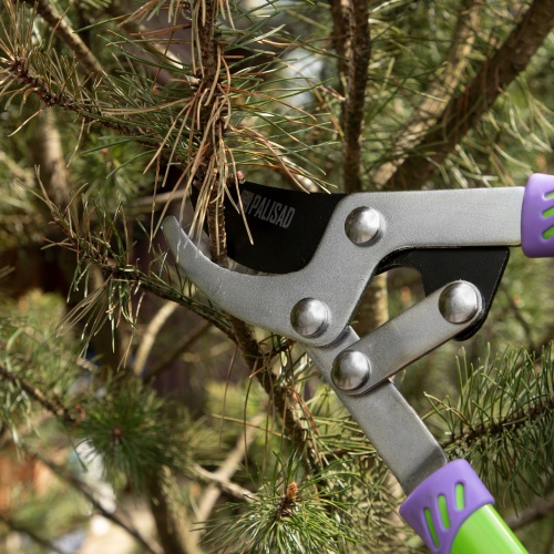 Сучкорез прямого реза, 750 мм, двухрычажный механизм, двухкомпонентные рукоятки, Palisad фото 8