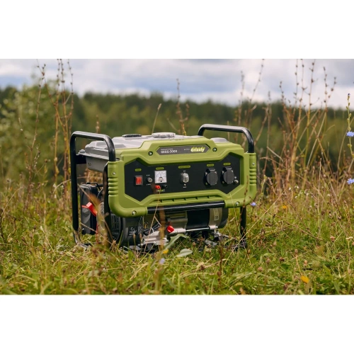 Бензиновый генератор Grizzly GEGG-3000 фото 6