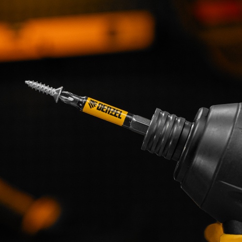 Бита PH2х60, сталь S2, цилиндр., 10 шт. Е 6,3 Denzel фото 8 Бита PH2х60, сталь S2, цилиндр., 10 шт. Е 6,3 Denzel фото 8