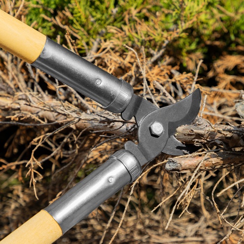 Сучкорез прямого реза, 500 мм, деревянные рукоятки, Горизонт, фото 8