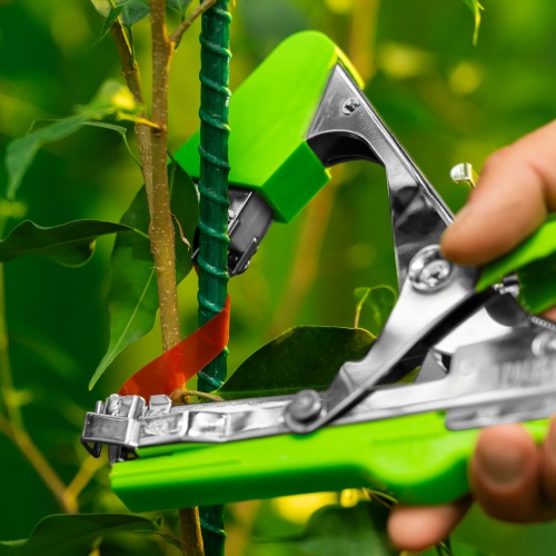 Тапенер садовый для подвязки растений, скобы 10 000 шт., лента 30 м Palisad фото 20