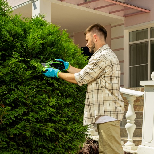 Секатор прямого реза, 215 мм, регулировка захвата, двухкомпонентные рукоятки, Palisad фото 11