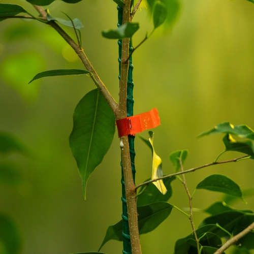 Скобы для тапенера садового, 4 мм, 10 000шт. Palisad фото 9