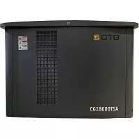 Электроагрегат газопоршневой CG18000TSA в кожухе CTG 4687204619076