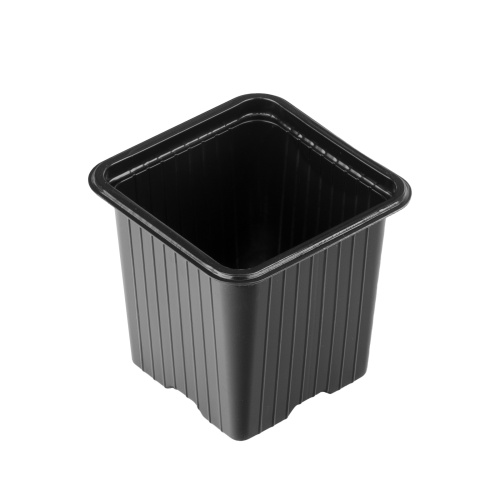 Горшочек для рассады, 70 х 70 х 65 мм, полистирол, 10 шт, фото 2