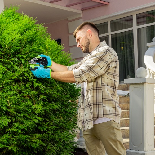 Секатор прямого реза, 170 мм, усиленный, нижняя рукоятка в ПВХ - оболочке, Luxe, Palisad фото 9