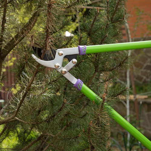 Сучкорез прямого реза, 750 мм, двухрычажный механизм, двухкомпонентные рукоятки, Palisad фото 7