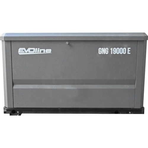 Генератор газовый Evoline GNG 19000 E GNG19000E фото 6