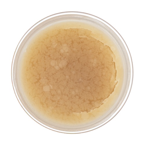 Жир паяльный нейтральный, 20 г Сибртех фото 3