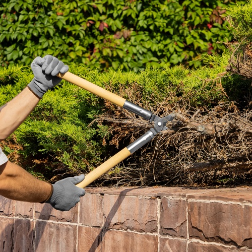 Сучкорез прямого реза, 500 мм, деревянные рукоятки, Горизонт, фото 7