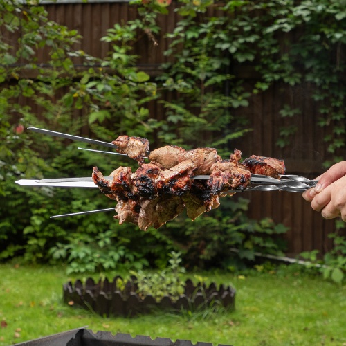 Шампуры с чехлом 60 см, 6 шт, Camping Palisad фото 13
