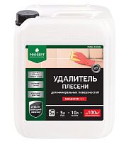 Удалитель плесени Prosept Fungi Clean 019-5 концентрат 1:1 5 л