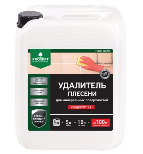 Удалитель плесени Prosept Fungi Clean 019-5 концентрат 1:1 5 л Удалитель плесени Prosept Fungi Clean 019-5 концентрат 1:1 5 л