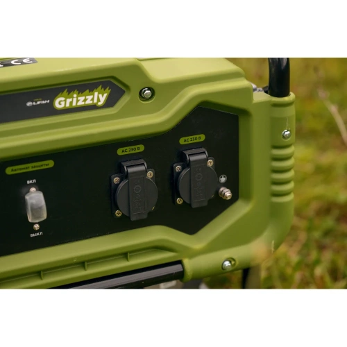 Бензиновый генератор Grizzly GEGG-3000 фото 7