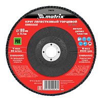 Круг лепестковый торцевой, P 80, 180 х 22.2 мм Matrix