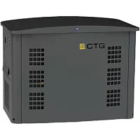 Электроагрегат газопоршневой CTG CG17000TSA в кожухе 4687206679627