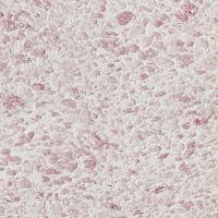 Штукатурка шелковая декоративная Silk Plaster Рельеф 331