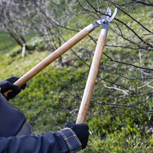 Сучкорез прямого реза, 640 мм, деревянные рукоятки, Palisad фото 6