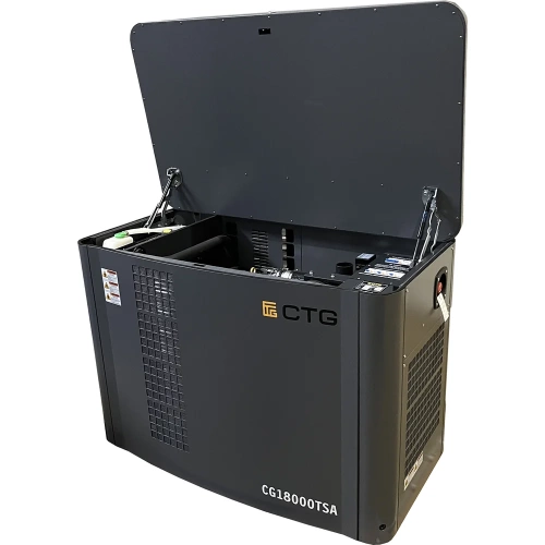 Электроагрегат газопоршневой CG18000TSA в кожухе CTG 4687204619076 фото 6