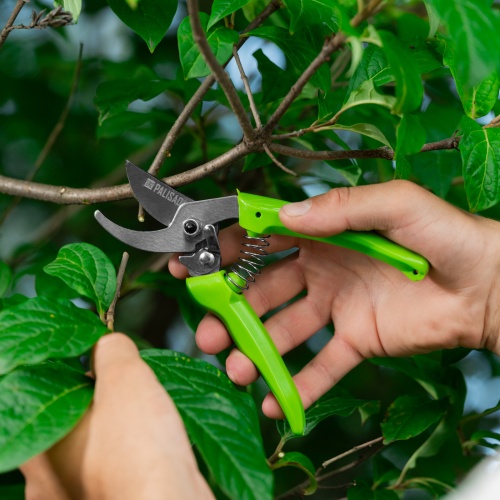 Секатор прямого реза, 185 мм, рукоятки из полипропилена, BASE// Palisad фото 10