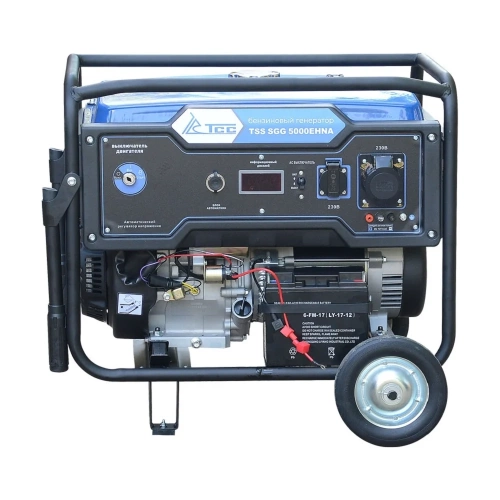 Бензогенератор ТСС SGG 5000EHNA 160008 фото 3