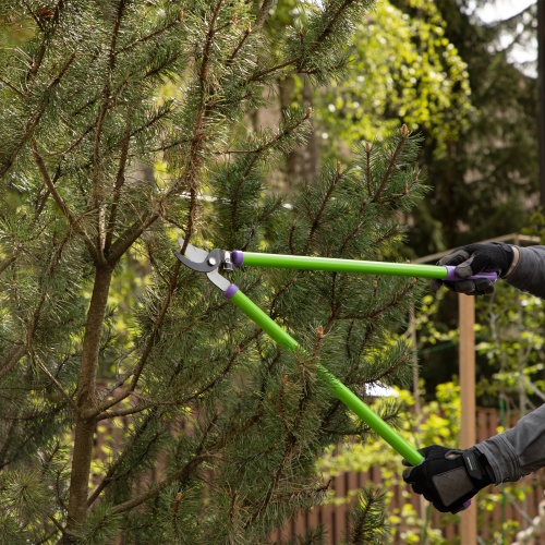 Сучкорез прямого реза, 700 мм, стальные обрезиненные рукоятки, Palisad фото 7