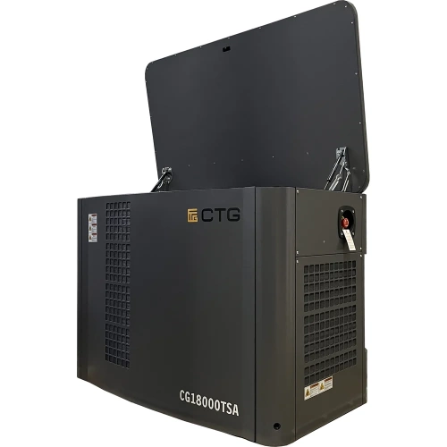 Электроагрегат газопоршневой CG18000TSA в кожухе CTG 4687204619076 фото 5