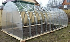 Парники, теплицы Парники, теплицы