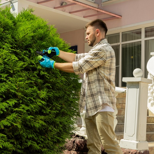 Секатор прямого реза, 225 мм, регулировка захвата, трехкомпонентные рукоятки, Luxe, Palisad фото 9