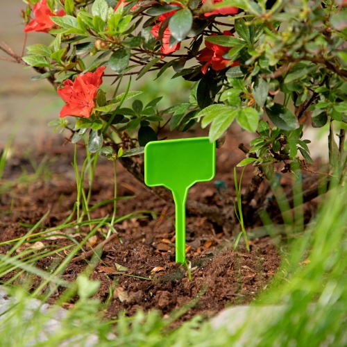 Посадочные таблички 35 х 55 мм, пика 110 мм, 20 шт, Palisad фото 6