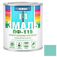 Эмаль Proremontt ПФ-115 RAL 6027 мятная 0,9 кг