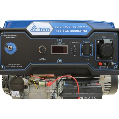 Бензогенератор ТСС SGG 8000EHNA 160014 фото 6