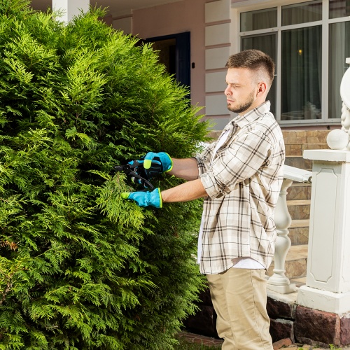 Секатор прямого реза, 215 мм, двухкомпонентные рукоятки, Luxe, Palisad фото 9