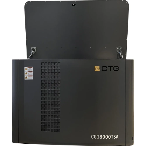 Электроагрегат газопоршневой CG18000TSA в кожухе CTG 4687204619076 фото 4