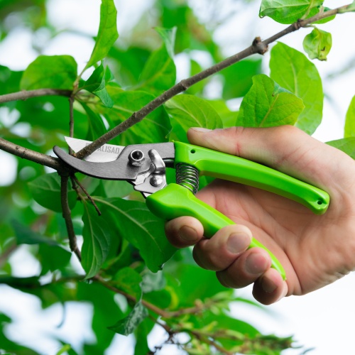 Секатор прямого реза, 185 мм, рукоятки из полипропилена, BASE// Palisad фото 11