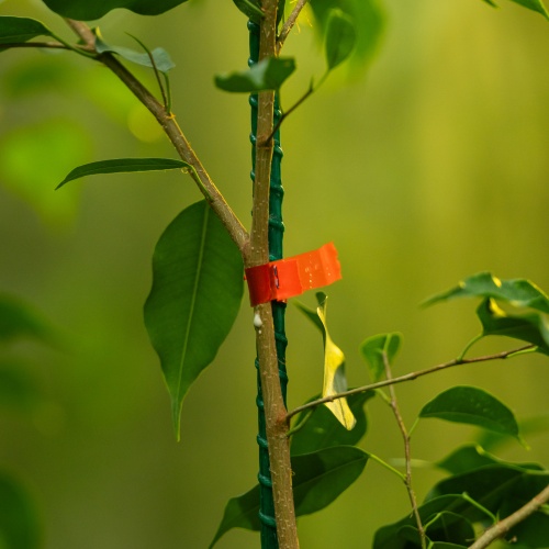 Тапенер садовый для подвязки растений, скобы 10 000 шт., лента 30 м, LUXE Palisad фото 22