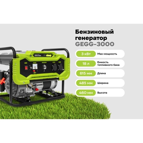 Бензиновый генератор Grizzly GEGG-3000 фото 3