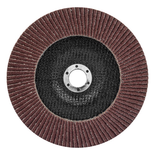 Круг лепестковый торцевой, P 60, 180 х 22.2 мм Matrix фото 2