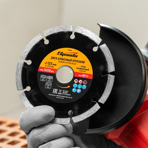 Диск алмазный, отрезной сегментный, 125 х 22.2 мм, сухая резка Sparta фото 8